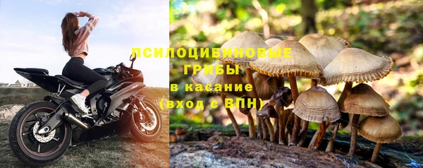 дживик Баксан