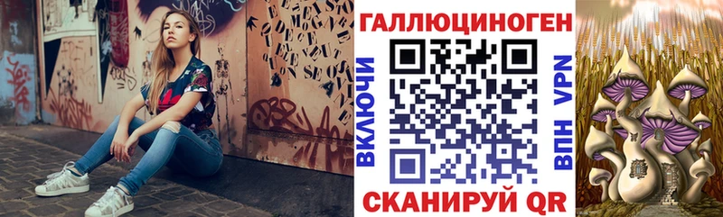 KRAKEN ссылка  Вилючинск  Псилоцибиновые грибы Magic Shrooms 